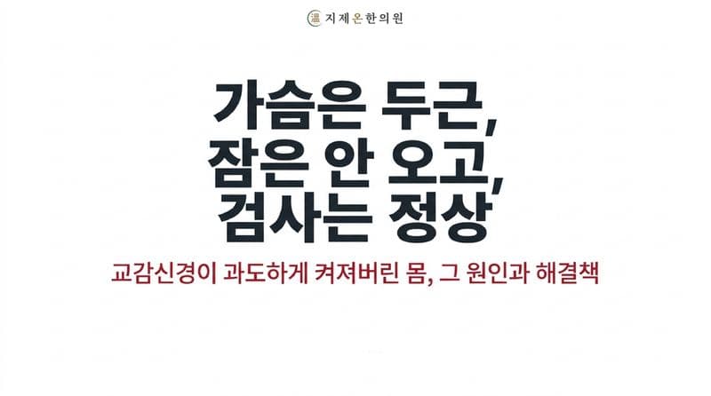 "몸에 24시간 사이렌이 울려요" — 검사상 정상이라는 자율신경실조증의 진짜 정체