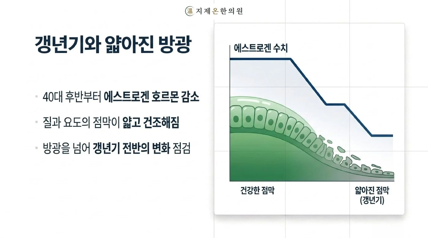 40대 후반부터 에스트로겐이 줄어 질과 요도 점막이 얇고 건조해지는 갱년기 방광 변화 그래프
