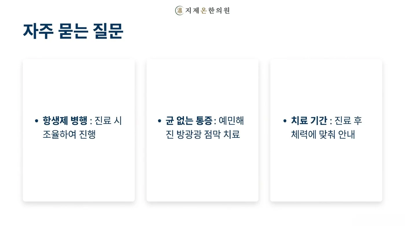 항생제 병행, 균 없는 통증, 치료 기간 등 만성방광염에 대해 자주 묻는 질문