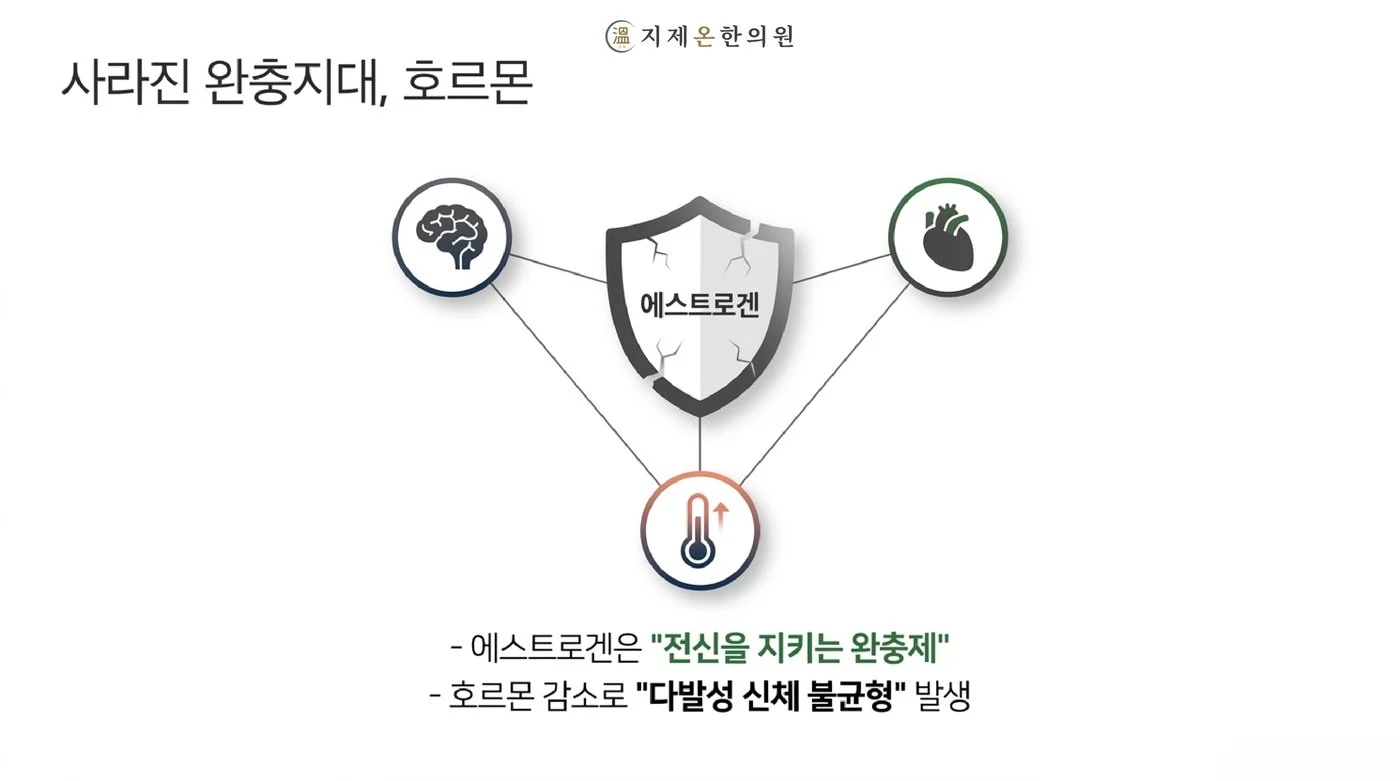 에스트로겐이 뇌·심혈관·체온 조절의 완충 역할을 하다가 감소하며 여러 곳이 동시에 흔들리는 구조