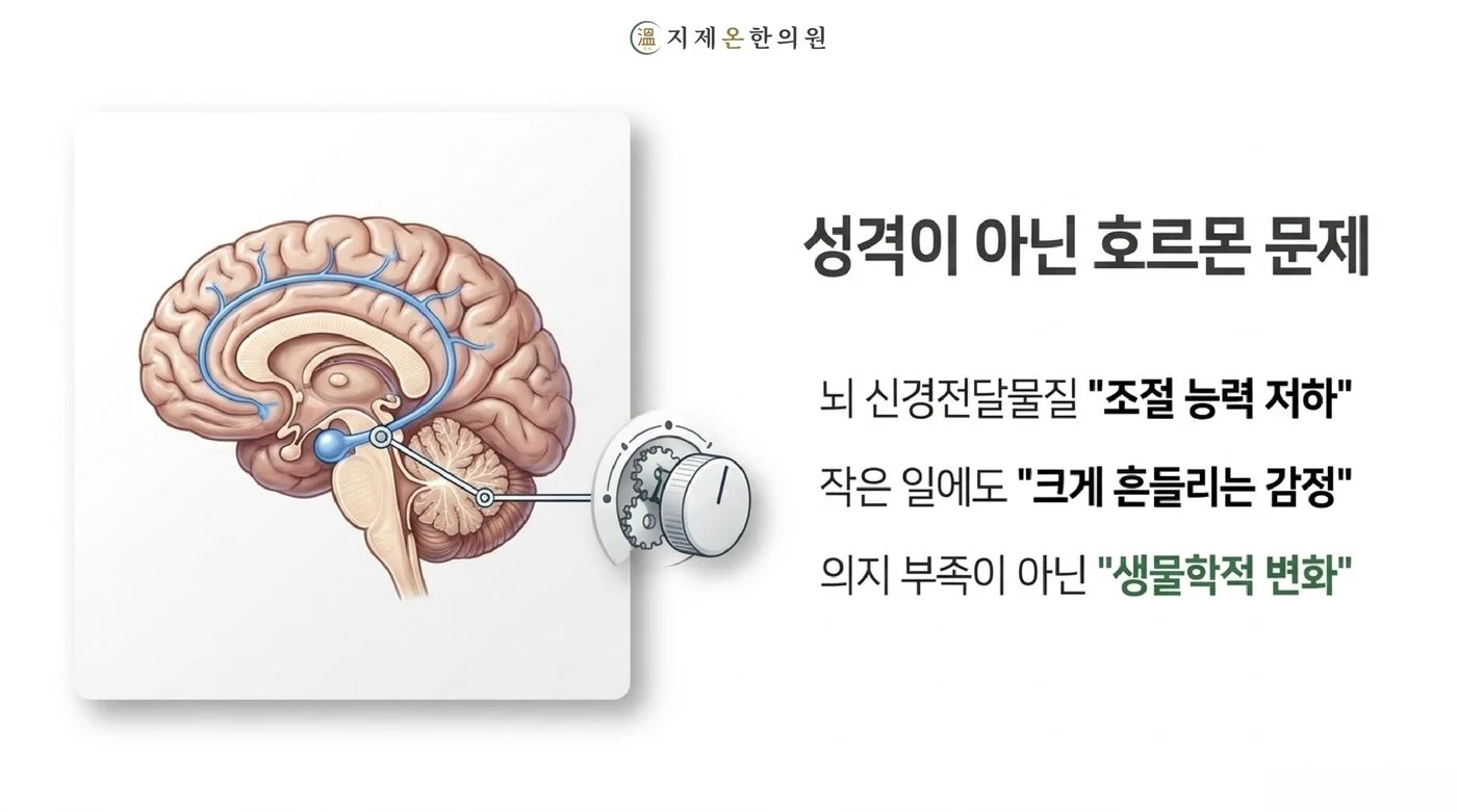 에스트로겐 감소로 뇌 신경전달물질 조절력이 떨어져 감정이 크게 흔들리는 갱년기 기전