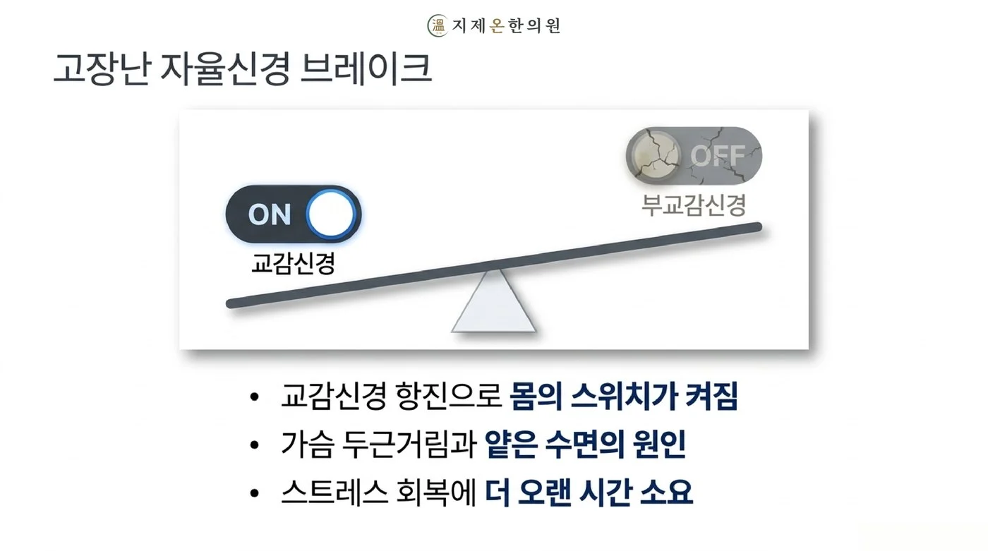 갱년기에 교감신경은 켜지고 부교감신경은 꺼지지 않는 자율신경 불균형