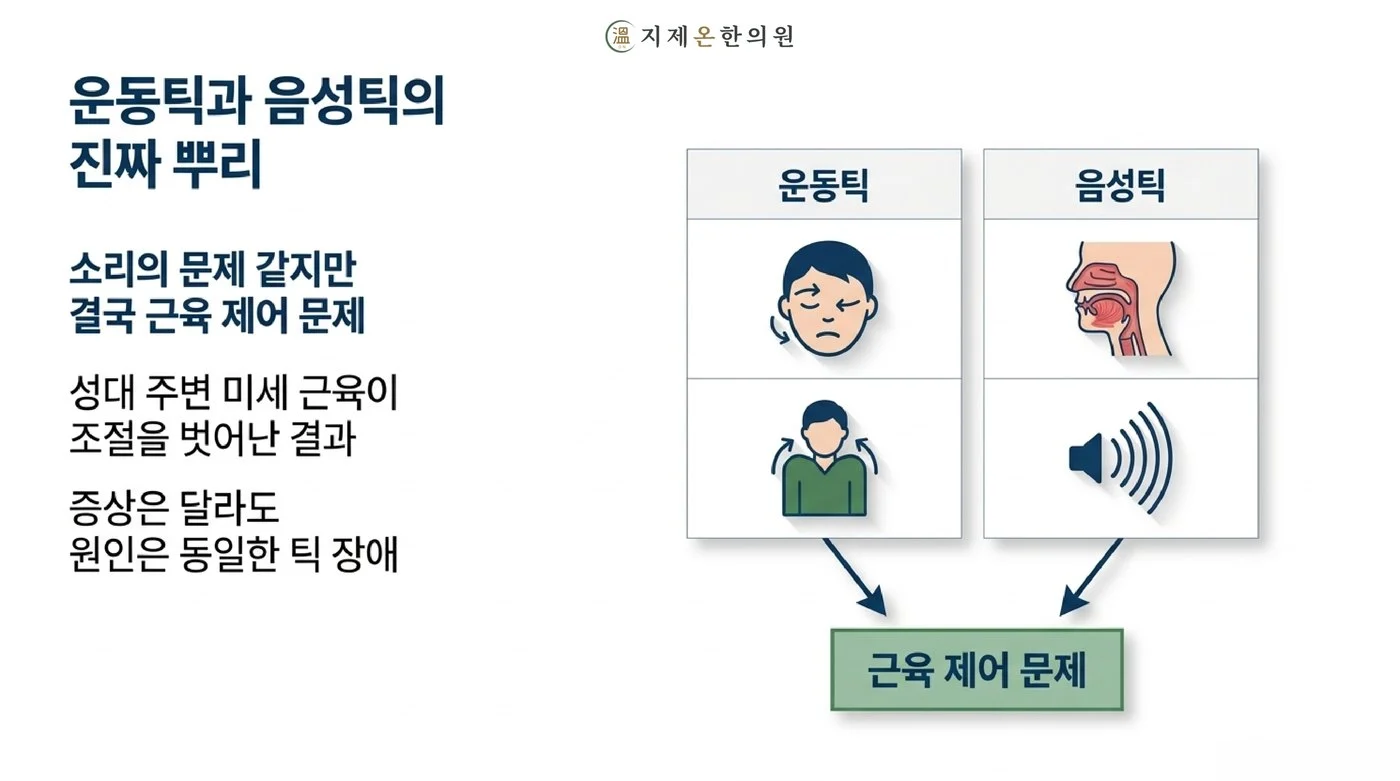 운동틱과 음성틱 모두 근육 제어 문제라는 같은 원인에서 온다는 것을 보여주는 그림