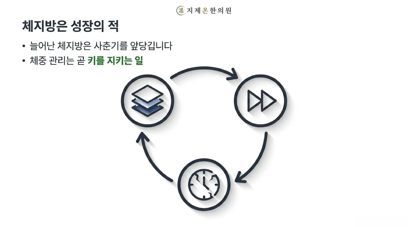 늘어난 체지방이 사춘기를 앞당기는 순환, 체중 관리가 곧 키를 지키는 일이라는 설명