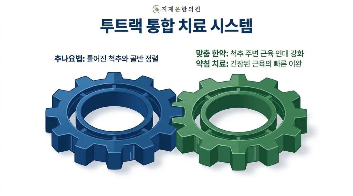 투트랙 통합 치료 시스템 - 추나요법으로 틀어진 척추와 골반 정렬, 맞춤 한약으로 척추 주변 근육 인대 강화, 약침 치료로 긴장된 근육의 빠른 이완