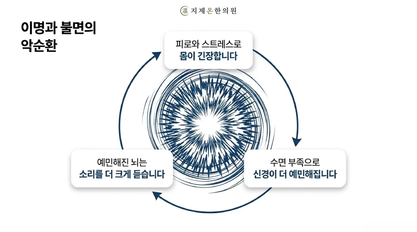 피로와 스트레스로 몸이 긴장하고 수면이 부족해지면 신경이 예민해져 소리를 더 크게 듣게 되는 이명과 불면의 악순환